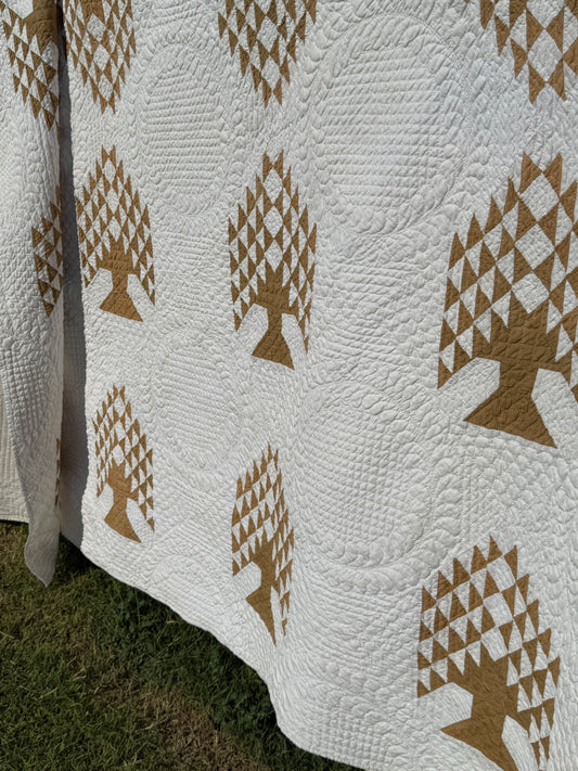 Tree of Paradise Quilt