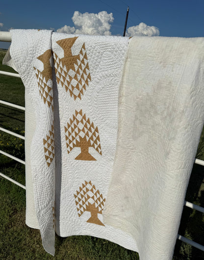 Tree of Paradise Quilt