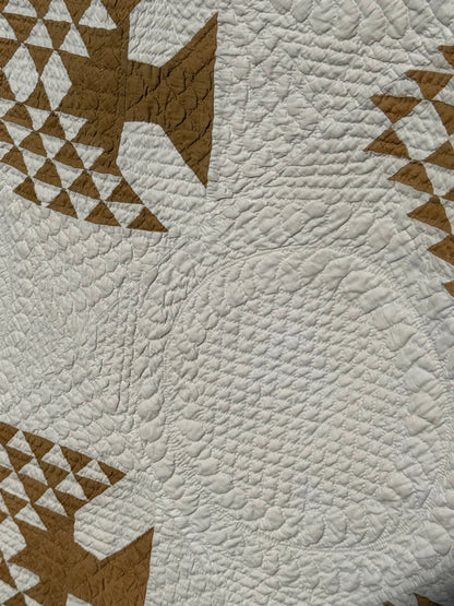 Tree of Paradise Quilt