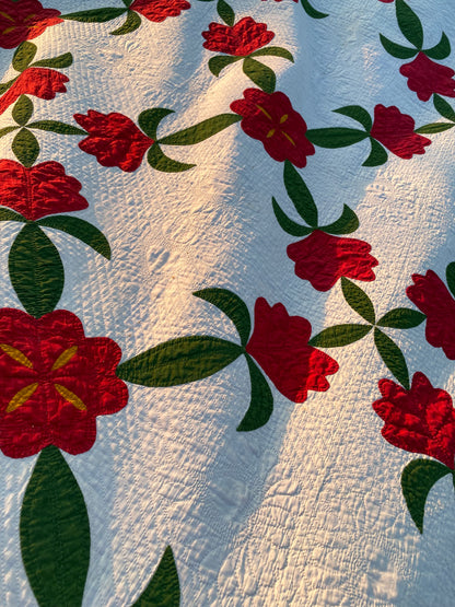 New Jersey Rose Appliqué Quilt with Border