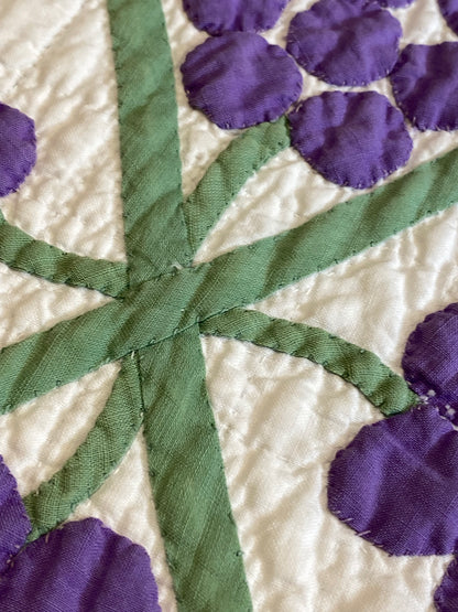 Martha’s Vineyard  Appliqué Quilt