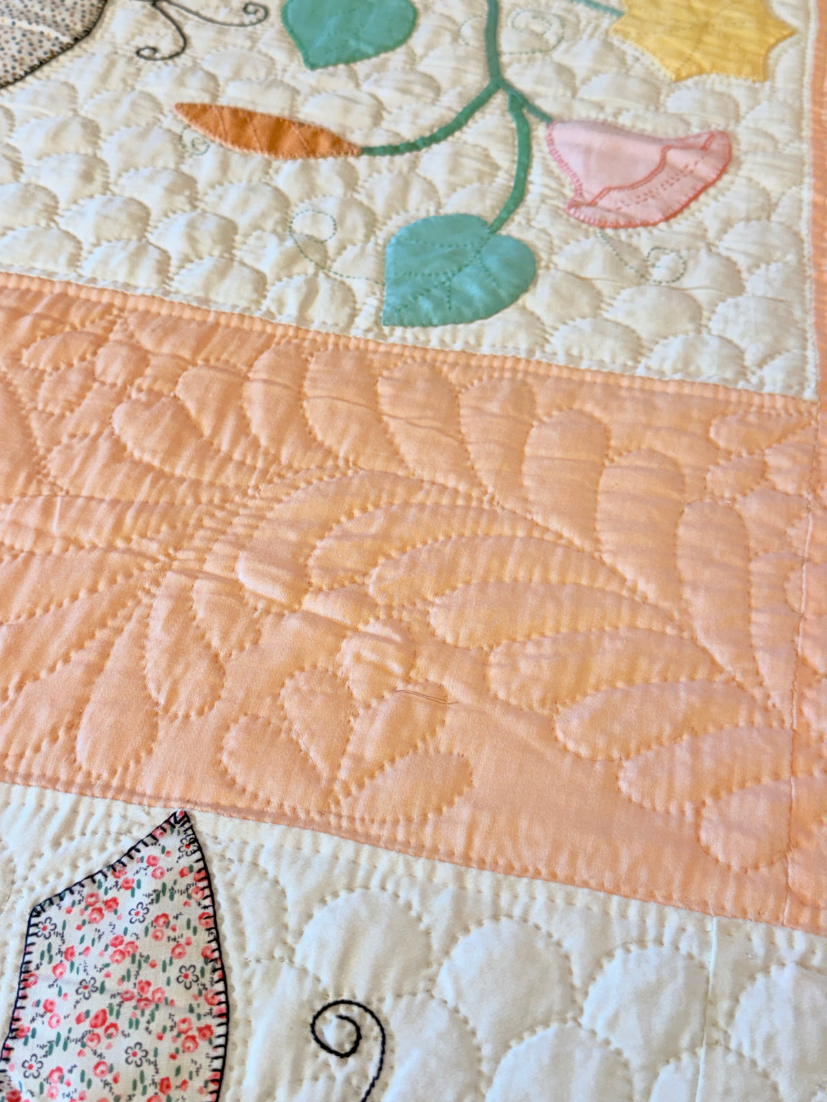 Outstanding Appliqué of Butterflies and Florals Quilt
