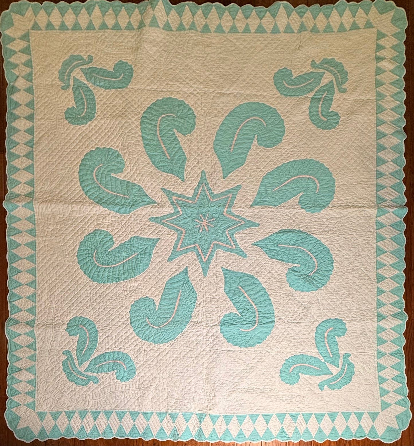 Superb Princess Feather Plumes and Star Appliqué Quilt