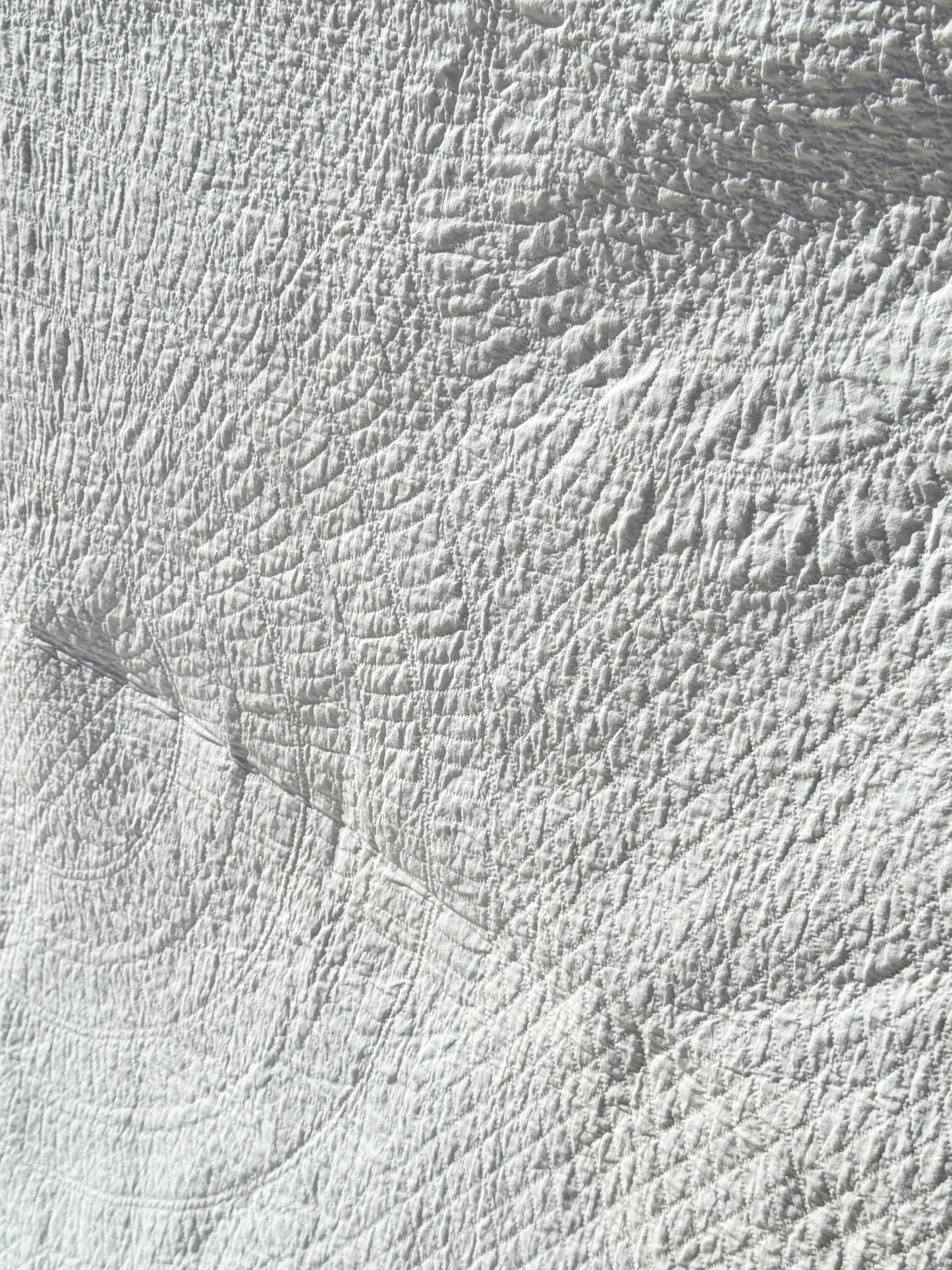 Bridal White on White Quilt