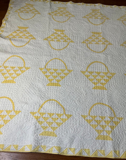 Cherry Basket Quilt with Border