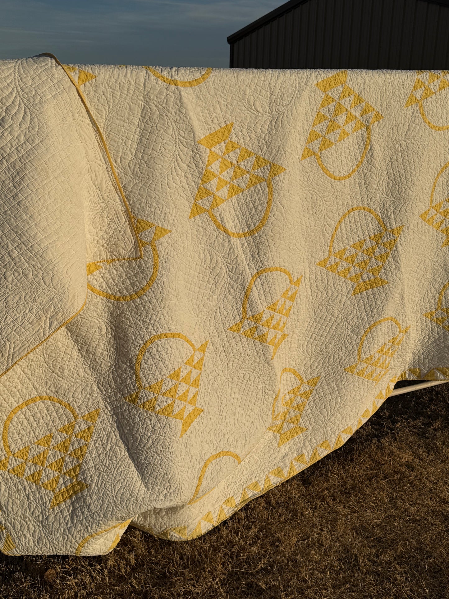 Cherry Basket Quilt with Border