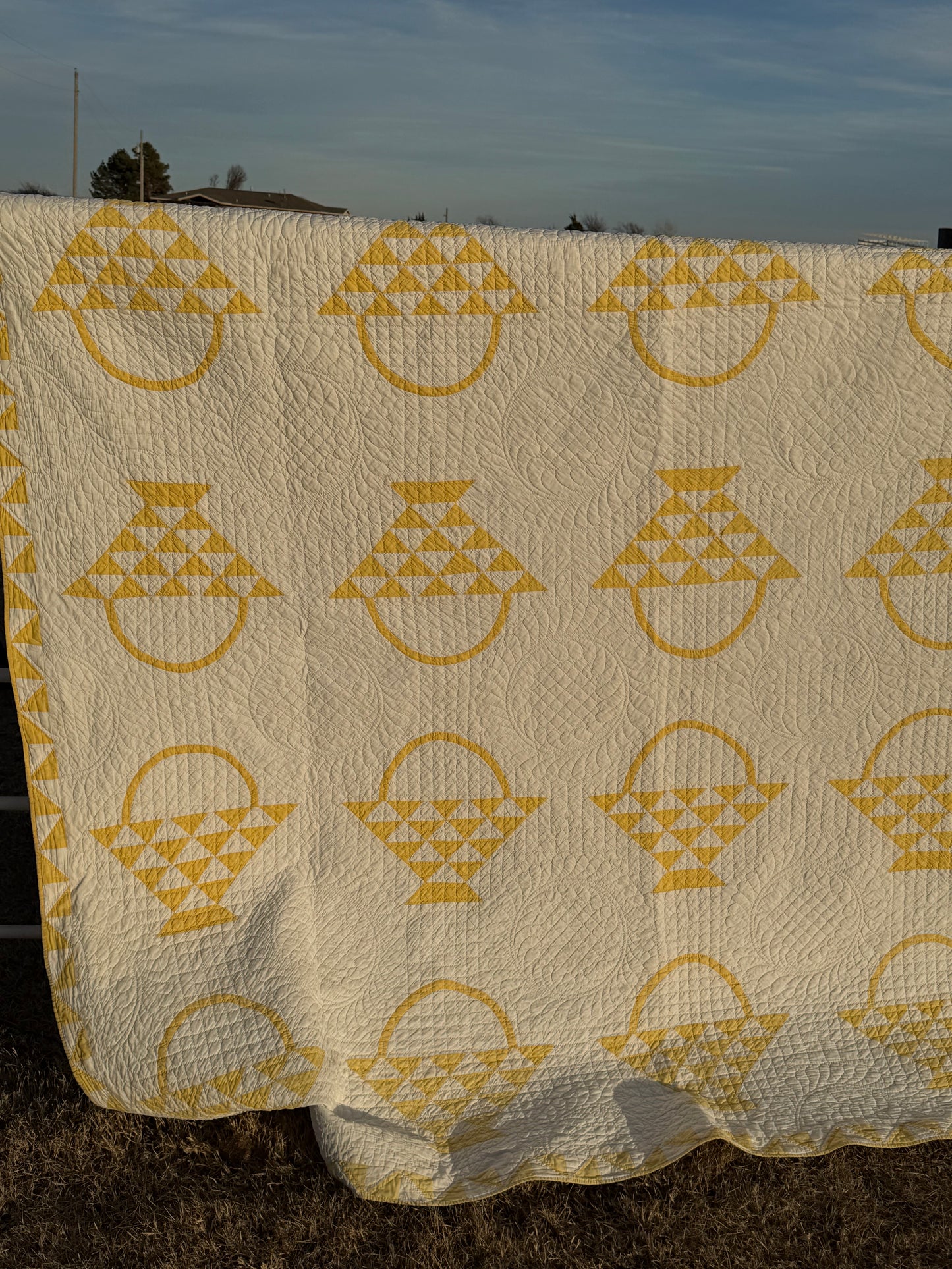 Cherry Basket Quilt with Border