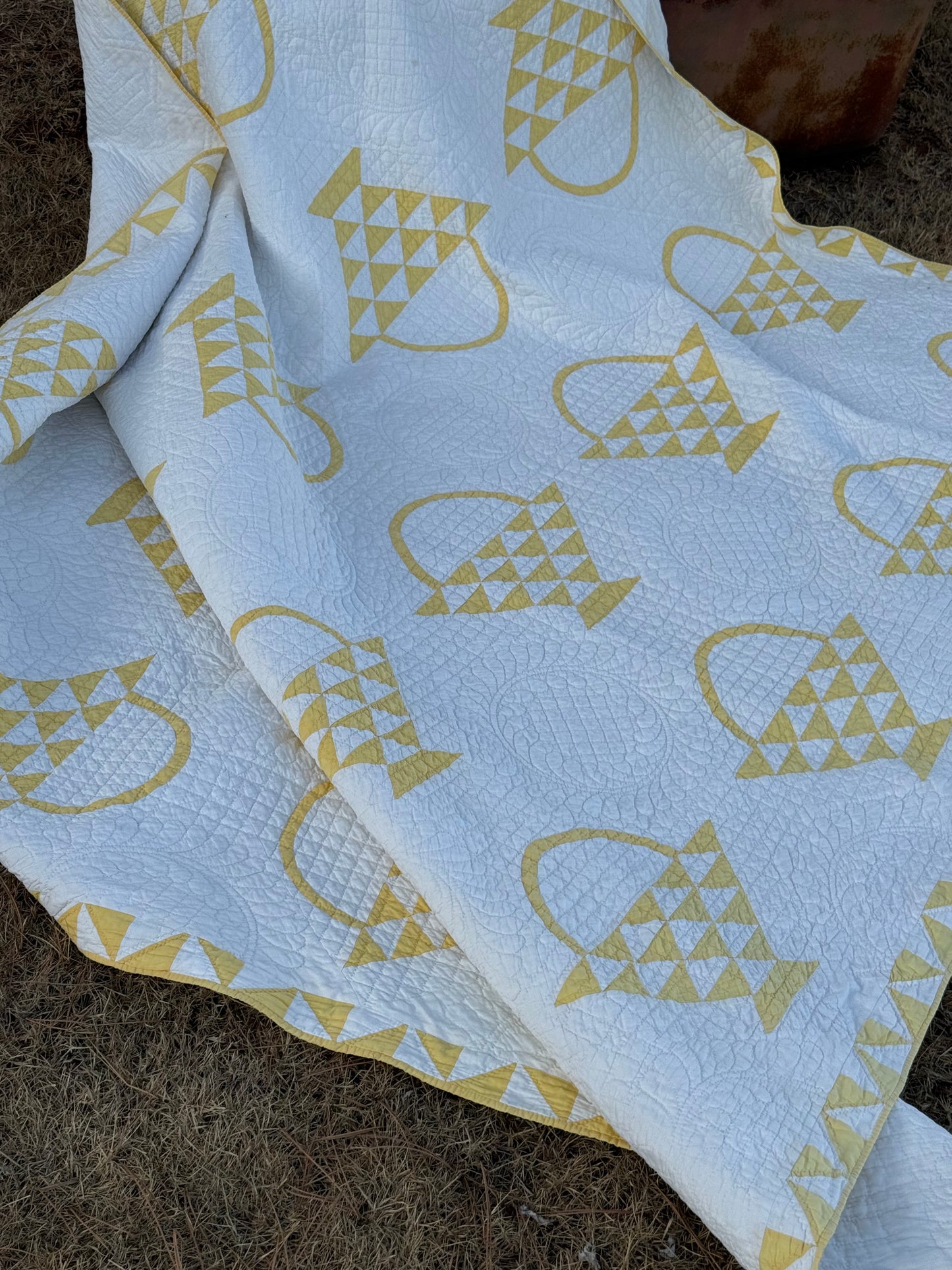 Cherry Basket Quilt with Border