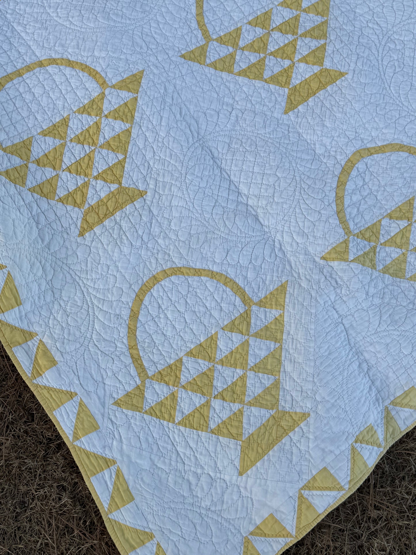 Cherry Basket Quilt with Border