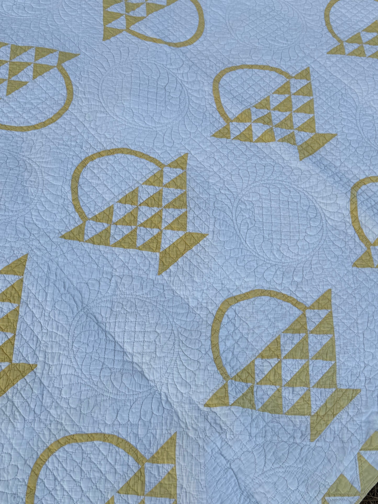 Cherry Basket Quilt with Border